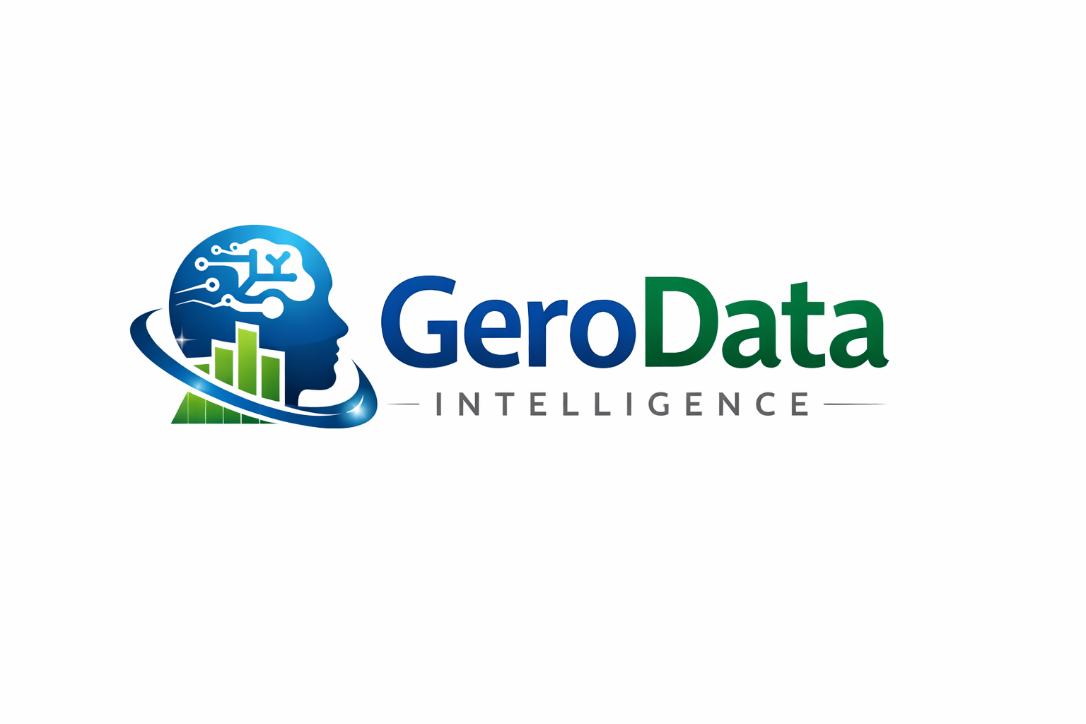 GeroData Intelligence